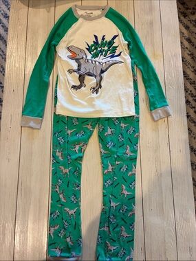 Kids Green Dino Graphic Pajama Set - Long Sleeve Top & Pants